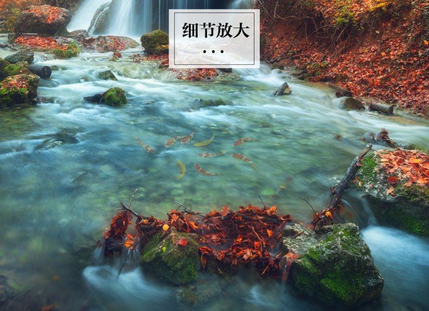 胡枫92岁生日罗兰惊喜现身，自曝两人天天见面